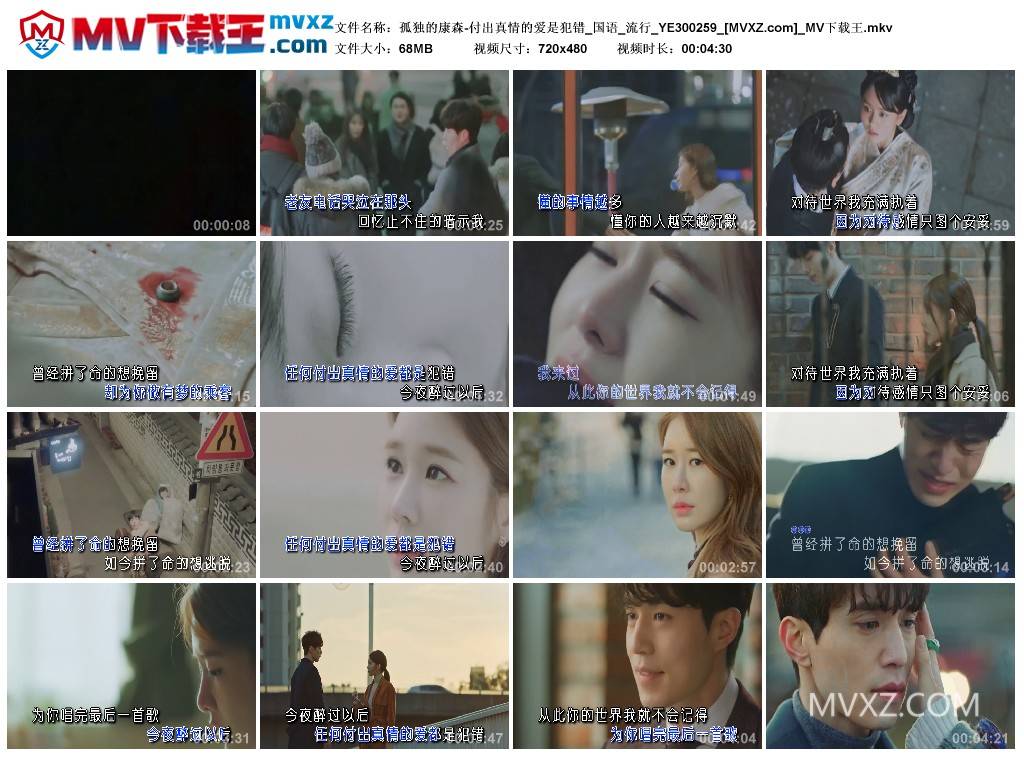 孤独的康森-付出真情的爱是犯错_国语_流行_YE300259